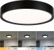 Lampa sufitowa Paulmann Lampa sufitowa TEGA LED 22.5W 1200lm 3000/4000/6500K IP44 230V czarny matowy / tworzywo sztuczne 1