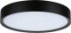Lampa sufitowa Paulmann Lampa sufitowa TEGA LED 22.5W 1200lm 3000/4000/6500K IP44 230V czarny matowy / tworzywo sztuczne 2