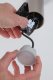 Lampa sufitowa Paulmann Lampa sufitowa TURNAL COIN LED 3-STEP DIM 6W 470lm 2700K 230V czarny matowy 2