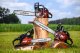 Piła łańcuchowa Cedrus CEDRUS PS40-16T PIŁA PILARKA PRZECINARKA SPALINOWA ŁAŃCUCHOWA DO DREWNA OREGON / WALBRO 2 KM - EWIMAX - OFICJALNY DYSTRYBUTOR - AUTORYZOWANY DEALER CEDRUS 4