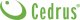 Cedrus CEDRUS DM05 PRO PROFESJONALNY ODKURZACZ DMUCHAWA SPALINOWA OGRODOWA DO LIŚCI - OFICJALNY DYSTRYBUTOR - AUTORYZOWANY DEALER CEDRUS 4