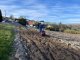 Traktor ogrodowy Cedrus CEDRUS TJ02 TRAKTOREK TRAKTOR JEDNOOSIOWY MIKROCIĄGNIK GLEBOGRYZARKA DZIK WOM JANSEN AGRO GRILLO MURATORI - EWIMAX - OFICJALNY DYSTRYBUTOR - AUTORYZOWANY DEALER CEDRUS 36