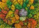 Dodo *****Puzzle 1000el Wioska Dzembronia DOB1163 01163 2