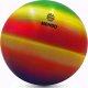 Icom Mondo piłka 230mm Rainbow 26045 2