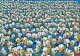 Clementoni CLE puzzle 1000 Impossible Donald Duck 39799 3
