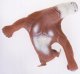 Hipo Goryl super rozciągliwy XXL 22cm 2kg 621730 04949 5