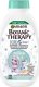 Garnier Botanic Therapy Kids Szampon do włosów z odżywką 2w1 - Frozen 250ml 1