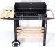 Procter Grill węglowy ogrodowy Paril na kółkach 1