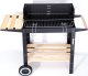 Procter Grill węglowy ogrodowy Paril na kółkach 15
