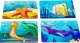 PuzzleOK Drewniane Puzzle 4w1 Zwierzęta Morskie Wodne Układanka Zestaw 2