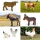 Woopie WOOPIE Zestaw Mały Farmer XL Figurki Gospodarstwo 5