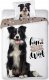 Faro Pościel bawełna 140x200+1p70x90 Best Friends Boder Collie 1