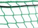 vidaXL Siatka na przyczepę, z elastyczną linką, zielona, 2,5x1,5 m, PP 4