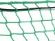 vidaXL Siatka na przyczepę, z elastyczną linką, zielona, 4x2,5 m, PP 4