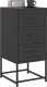 vidaXL Szafka nocna, czarna, 36x39x78 cm, stal 4