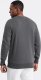 Ombre Bluza męska bez kaptura BASIC - grafitowa V10 OM-SSBN-0119 L 5