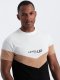 Ombre T-shirt męski bawełniany trójkolorowy z logo - czarno-brązowy V3 S1747 L 1