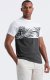 Ombre T-shirt meski dwukolorowy z nadrukiem w liście palmy - grafitowy V2 OM-TSPT-0177 M 3