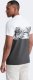 Ombre T-shirt meski dwukolorowy z nadrukiem w liście palmy - grafitowy V2 OM-TSPT-0177 M 5