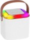Indygo KARAOKE MIKROFON BLUETOOTH GŁOŚNIK BEZPRZEWODOWY ZESTAW DLA DZIECI MP3 AUX Y1 12