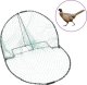 vidaXL Pułapka na ptaki, zielona, 50 cm, stal 1
