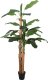 vidaXL Sztuczny bananowiec, 19 liści, 180 cm, zielony 1