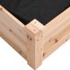 vidaXL Podwyższona rabata z wyściółką, 120x60x25 cm, drewno jodłowe 7