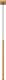 Lampa wisząca Sollux Lighting SOLLUX Lampa wisząca PASTELO 1 złota 1 x G9 SL.1170 1