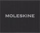 Moleskine Przypinka serce, srebrna (MS-852462) 1