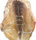 Grillpal Haki Do Wędzenia RYB DZWONKO HALIBUT KARP 10 sztuk 4