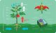 Podkładka Playmaty.pl Podkładka pod mysz - Budowa Rośliny - mata edukacyjna 61x35,5 cm 6