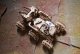 UGEARS Składany Drewniany Model 3D - Załogowy Łazik Marsjański 10