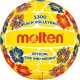 Molten Beach volleyball MOLTEN V5B1300-FY, synth. leather size 5 1