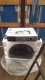 Pralka Haier Washing machine Haier HWD80-B14979 28