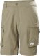 Helly Hansen Helly Hansen szorty turystyczne MOVE QD SHORTS 2,0 53977 757 S 1