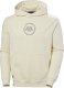 Helly Hansen Helly Hansen męska bluza z kapturem CORE GRAPHIC SWEAT HOODIE 53924 034 L 1