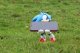 Cable Guys Exquisite Gaming stojak na smartfon / kontroler Cable Guys Sonic the Hedgehog - ślizgający się Sonic 14