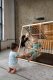 Kidwood Domowy Plac zabaw Marynarz Basic czarny Kidwood 9