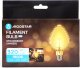 Aigostar  Żarówka ozdobna LED filament truskawka E27 4W wyjątkowa i stylowa Żarówka ozdobna LED filament truskawka E27 4W wyjątkowa i stylowa 4