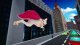DC Liga SuperPets Przygody Krypto I Asa Dubbing PL 2
