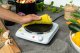 First TZS First Austria Cooking Plate, Cast Iron, Single, 1500W, 185MM, Adjustable FA-5082-4 6