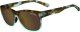 TIFOSI Okulary TIFOSI SWANK XL blue tortoise (1 szkło Brown 15,4% transmisja światła) (NEW) 1
