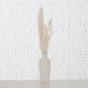 Boltze Porcelanowy wazon dekoracyjny Bianca, suszone kwiaty, wys. 16 cm 2