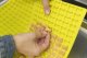 Trixie TRIXIE 34989, Baking mat, Silicone, Yellow, -40 - 230 °C, 280 mm, 380 mm 11