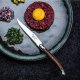 Laguiole Tradition Steak knives Laguiole Dark Wood SET 6 SdV 1