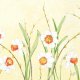Duni Serviet Duni 40x40 cm 3-lag Daffodil Joy,250 stk/pk 1