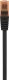 Renkforce Renkforce RF-5042662, 15 m, Cat6, U/UTP (UTP), RJ-45, RJ-45 1