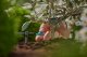 Gardena Gardena Endline Drip Head, End-line mounting, 2 l/h, Plastic, 1 pc(s) 2