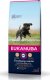 Eukanuba Eukanuba EUK Junior Large Breed Chicken 12KG 3