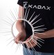 Kadax 12x Kolce Na Ptaki Przeciw Ptakom Nierdzewne Wysokie 5,82m Bezpieczne 8